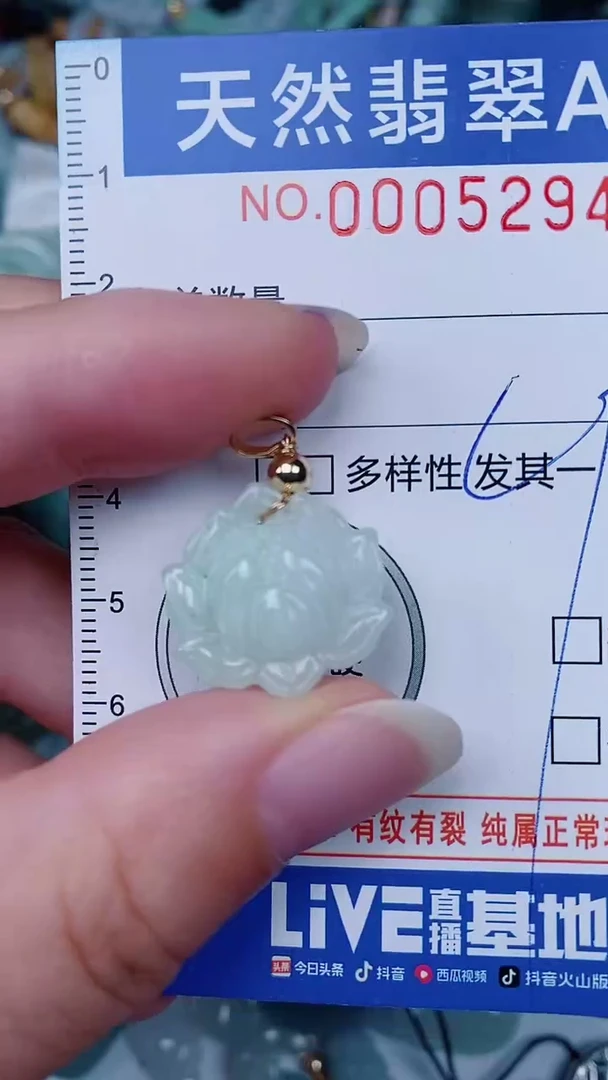 翡翠未镶嵌颈饰00005294