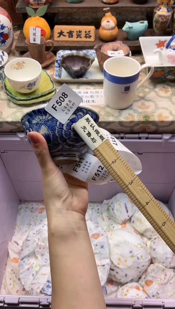 瓷器用****6    F508