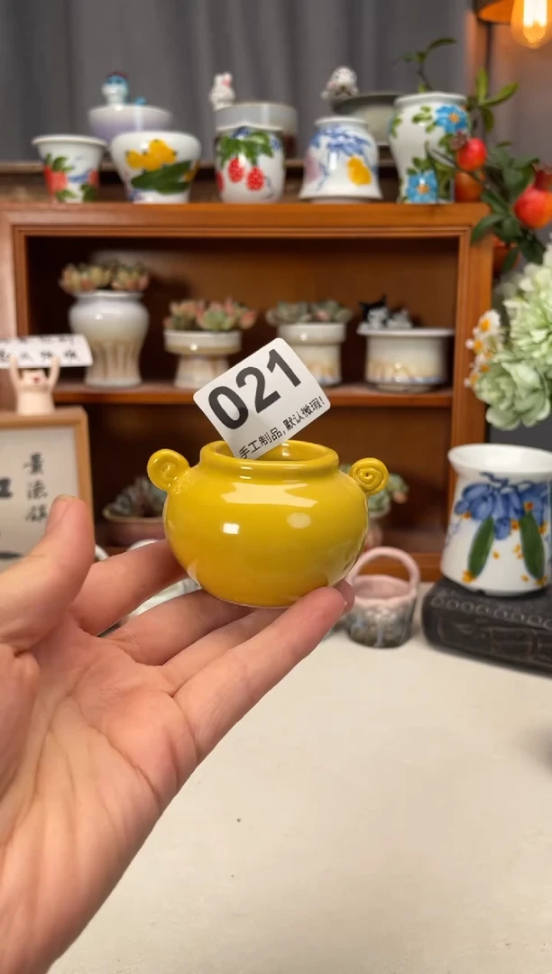 瓷片021知木小芳花盆直播编号
