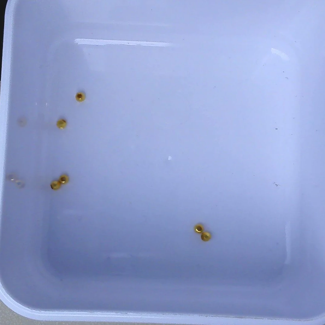 黄金足金小金 豆2