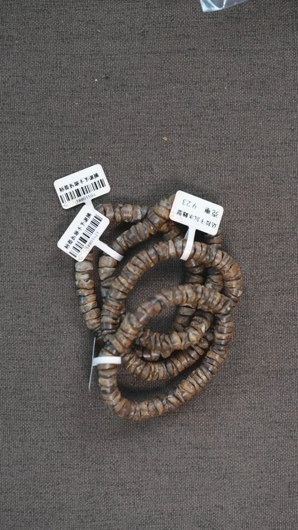 手串沉香达拉干沉水随型9g+多样性发其一