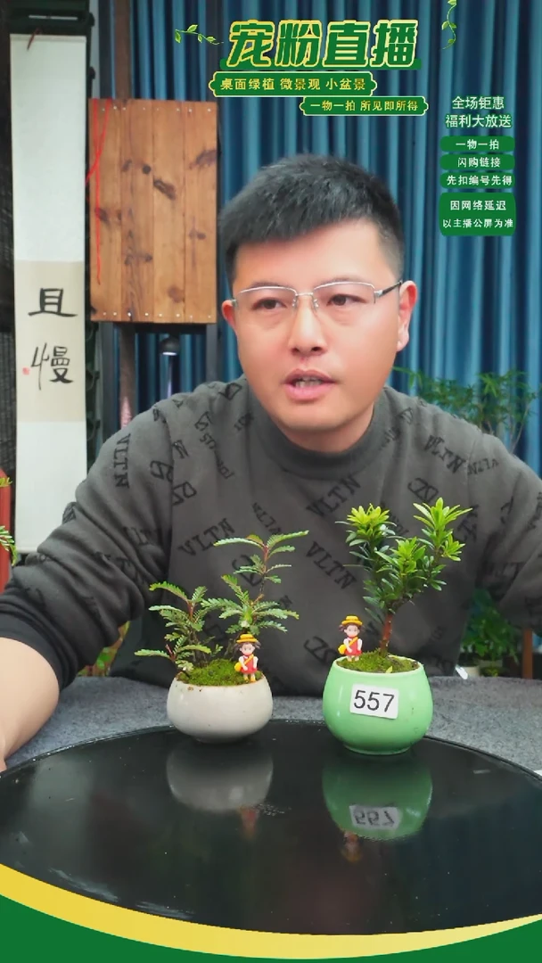无花朵s***t苔藓微景观557号