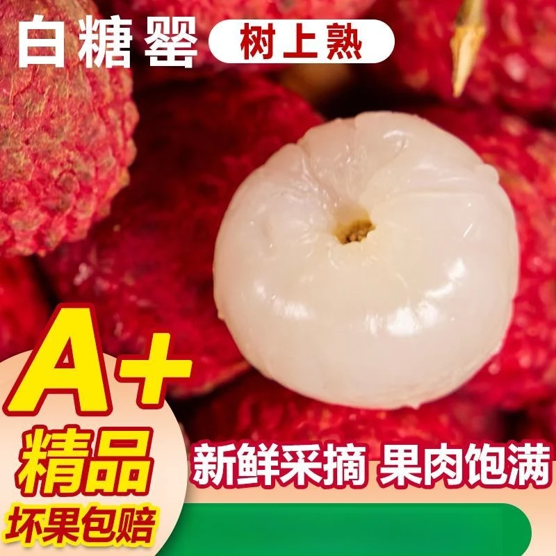头茬白糖罂新鲜荔枝当季新鲜水果当季精选果