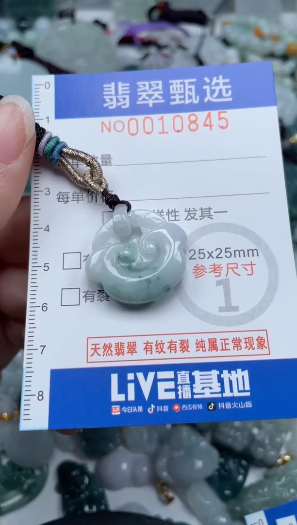 颈饰未镶嵌翡翠10845