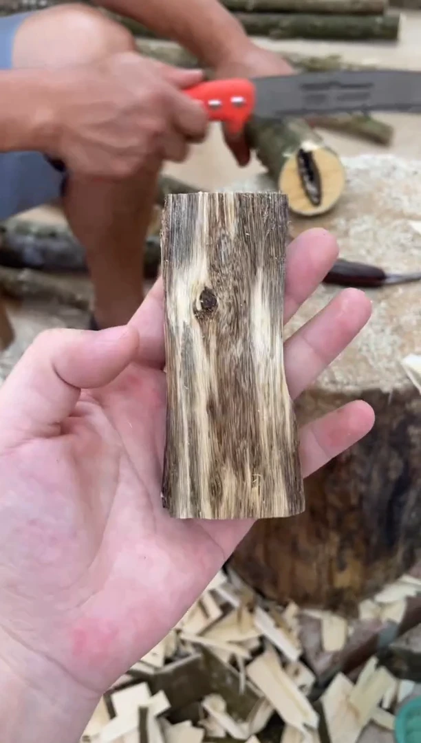 沉香沉香碎屑棋楠沉香 原料文创1