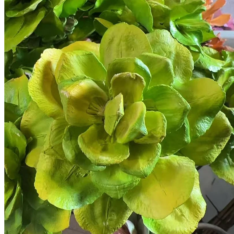 银莲花永生花云南直发家居店铺办公室装饰花材
