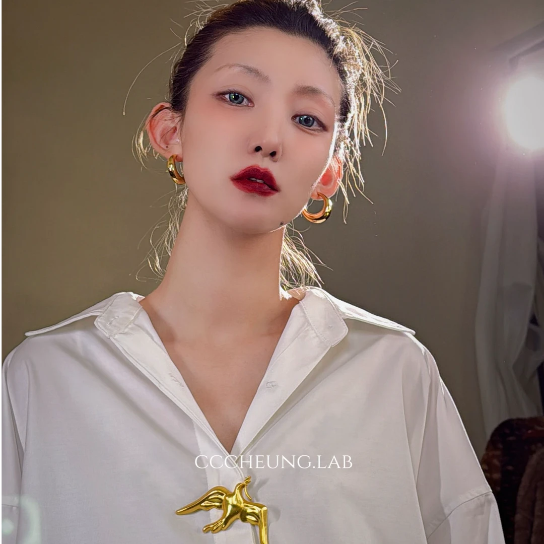 黄铜胸针 鸽子胸针百搭轻奢复古小众金色6DA-Q861