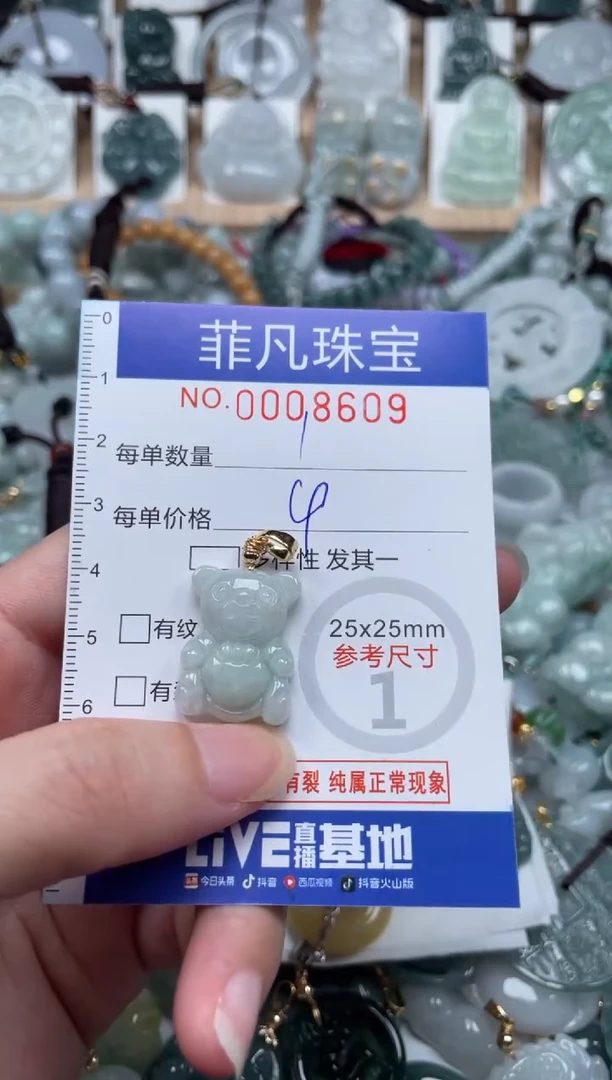 翡翠未镶嵌颈饰00..8609