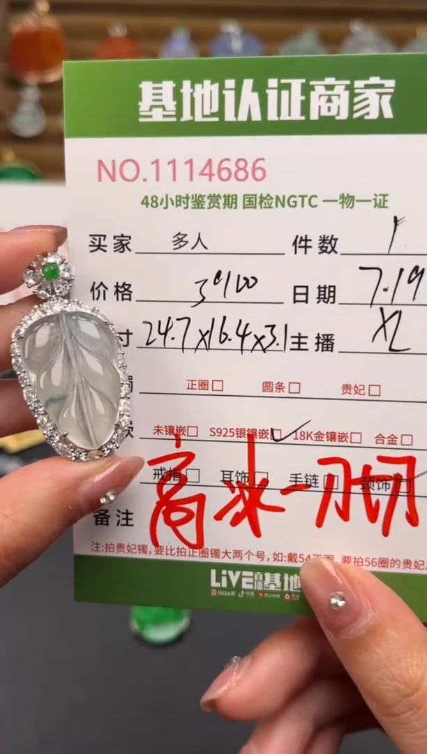 翡翠银S925镶嵌颈饰多人