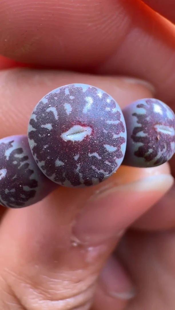 【闪购商品】1.20-266