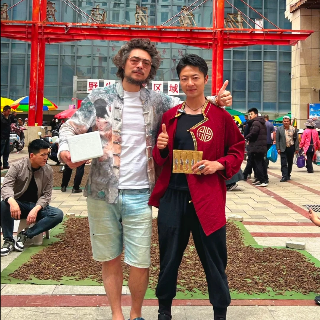 陈大狮优选（中大草）青海冬虫夏草干草0.7-0.8克新鲜草晒干