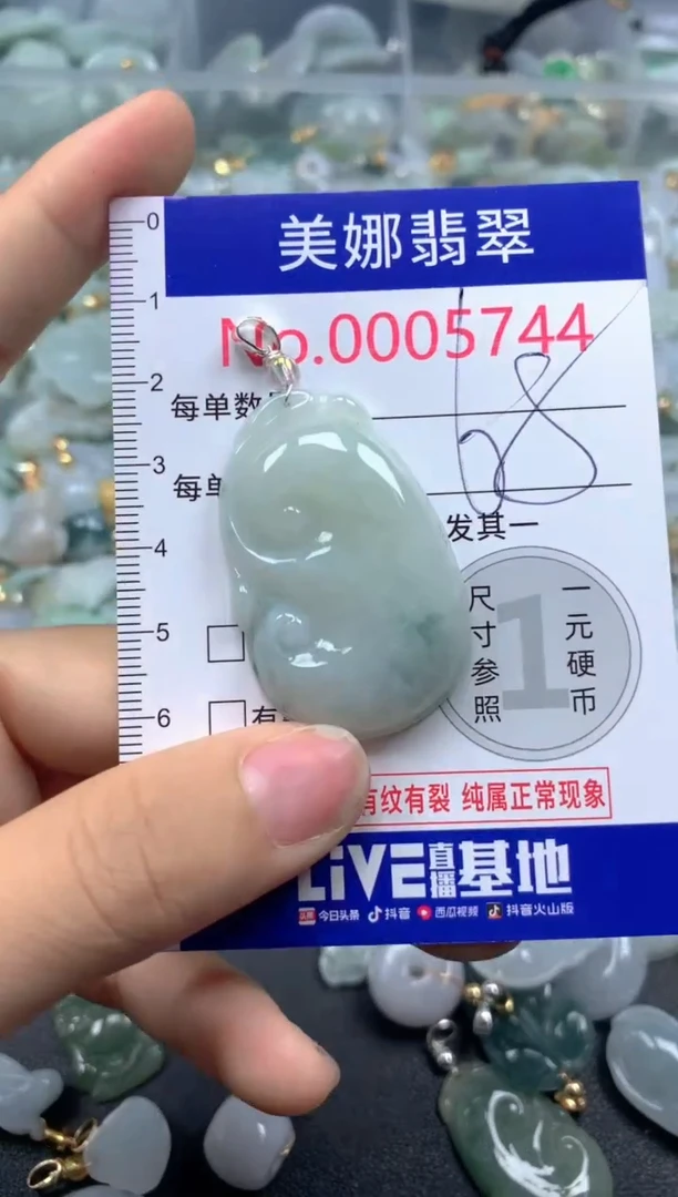 颈饰未镶嵌翡翠5744