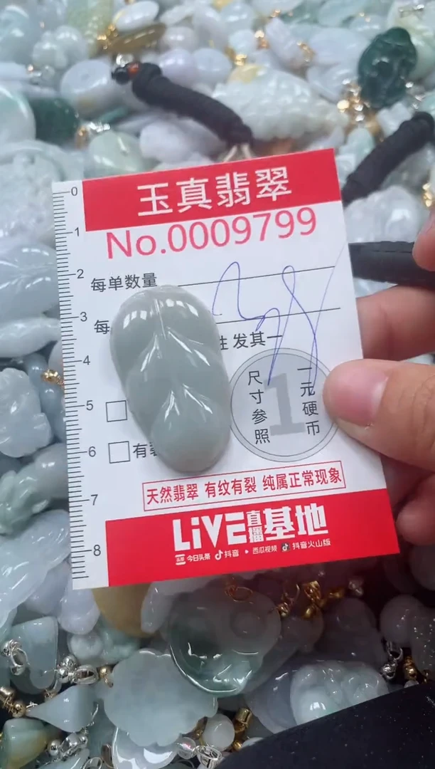 吊坠(不含链)未镶嵌翡翠9799