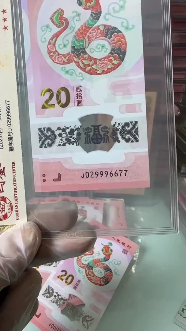 【闪购商品】塑料029996677-蛇钞单张！