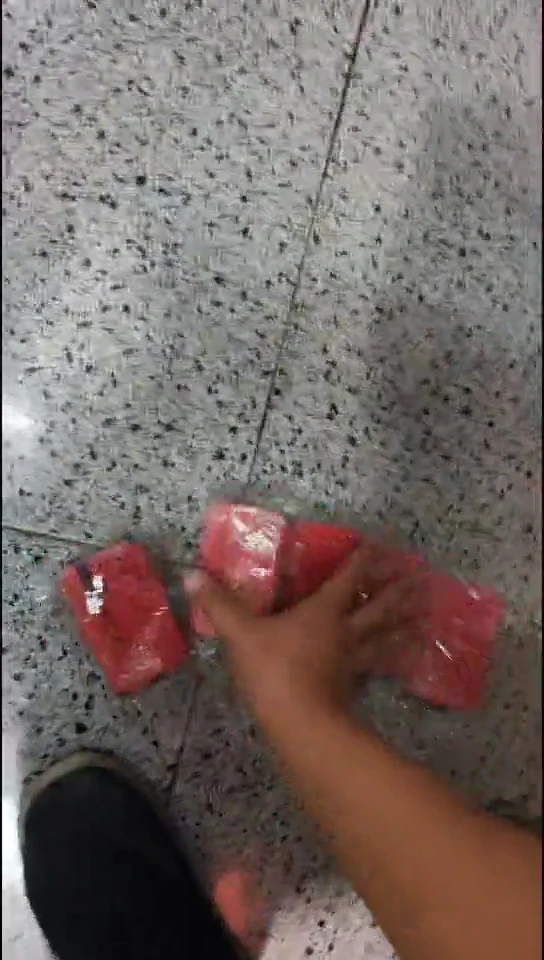 5个红虫蚯蚓盒1111