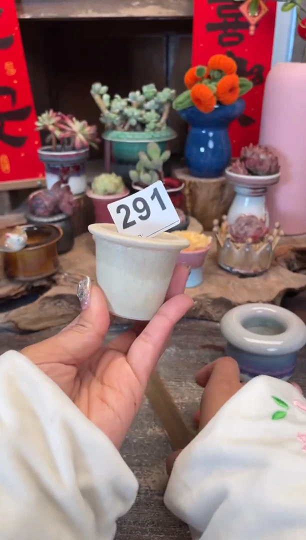 【闪购商品】摆件291微瑕知木小芳花盆