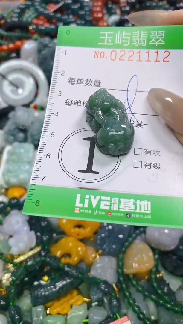 颈饰未镶嵌翡翠闪购0221112