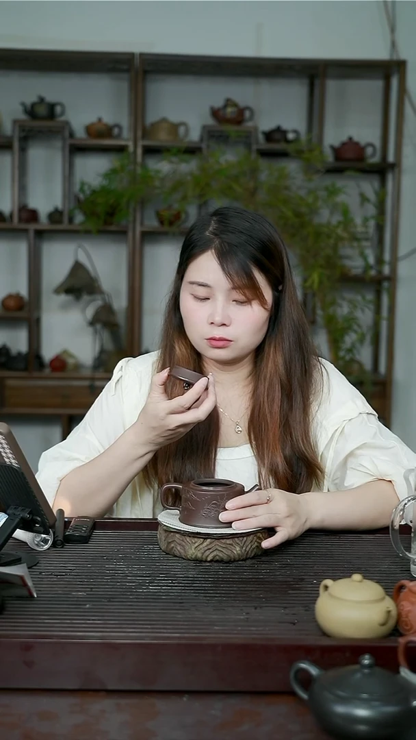 宜兴原矿无添加紫砂壶220C