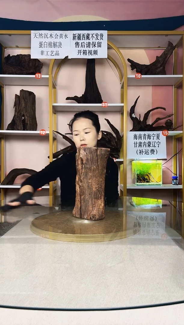 元紫柚木秒沉水A315 13 10 26
