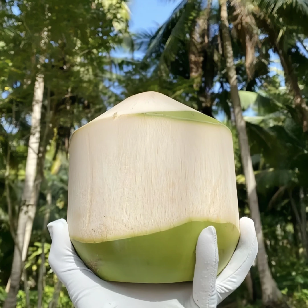 【当日现摘现发】新鲜海南削皮椰青椰子整箱当季孕妇水果青椰椰子水