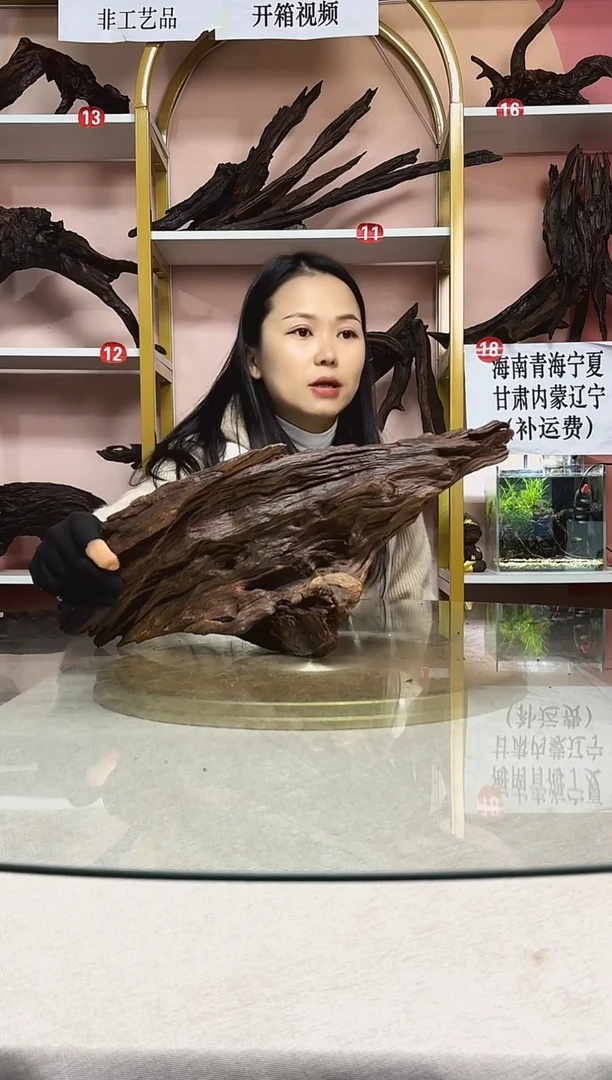 长**安鱼缸造景沉木A043