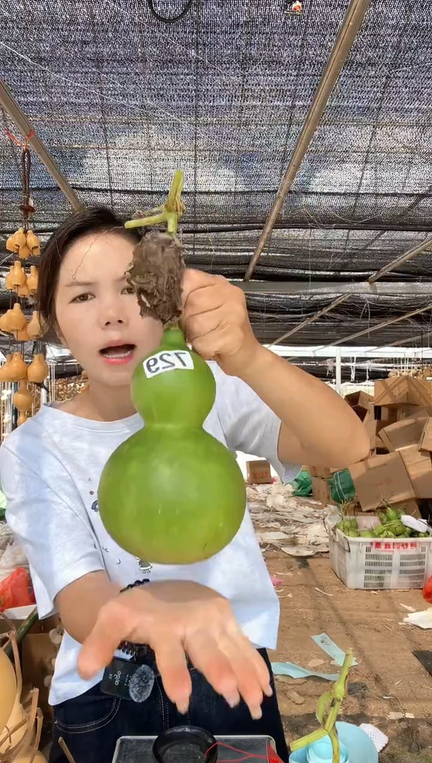 729天然葫芦摆件 一物一拍龙头不保售后