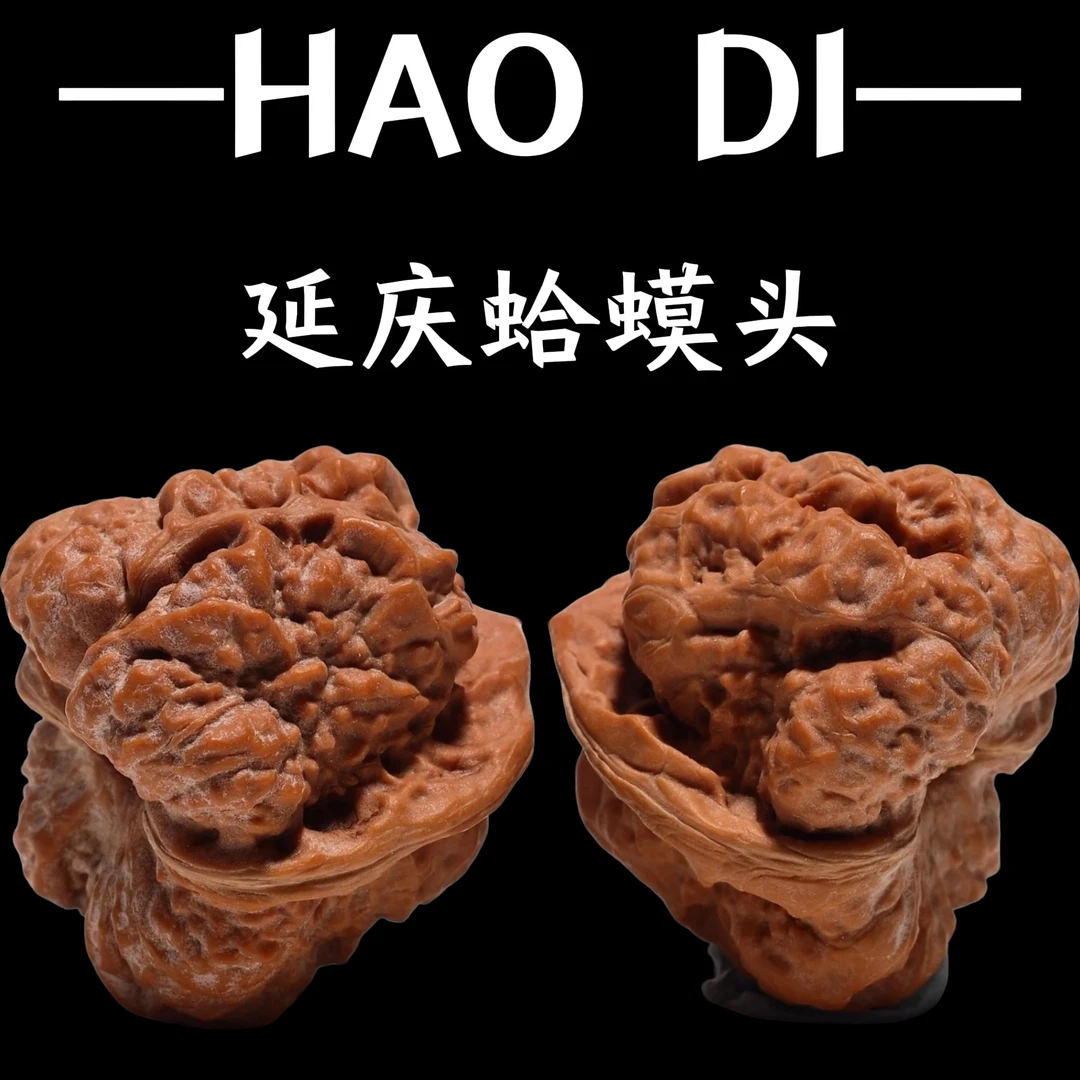 （新果头货）延庆-山地老树水晶皮肌肉蛙（蛤蟆头）