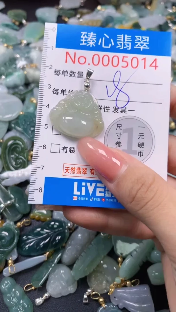 翡翠未镶嵌颈饰5014