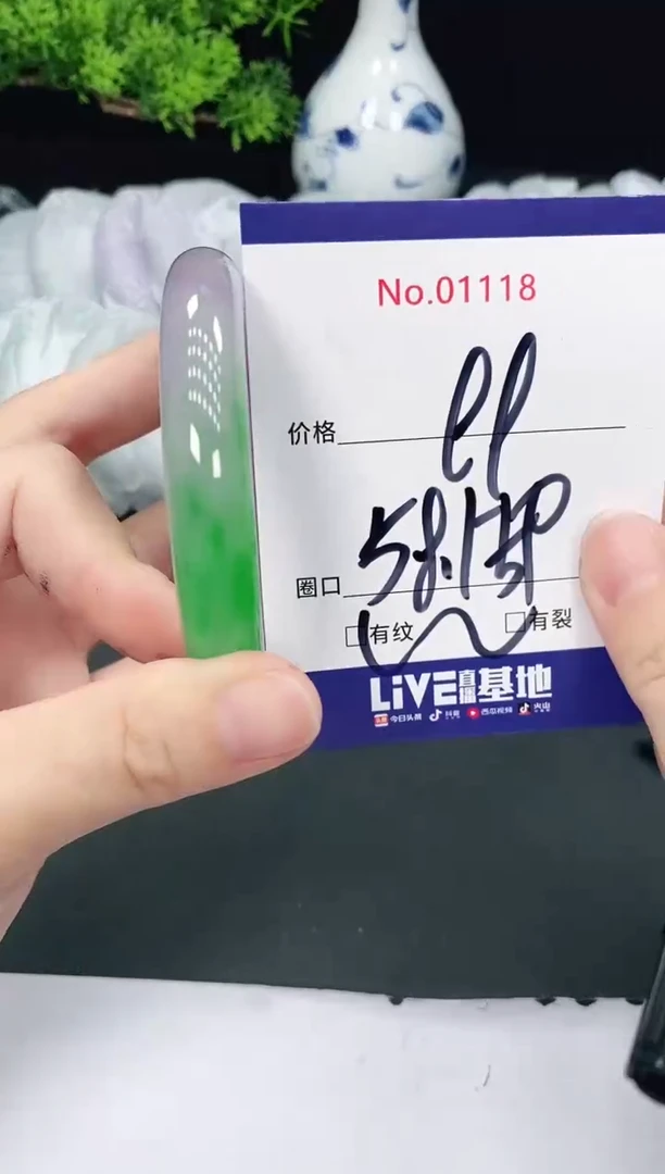 未镶嵌手镯翡翠1118
