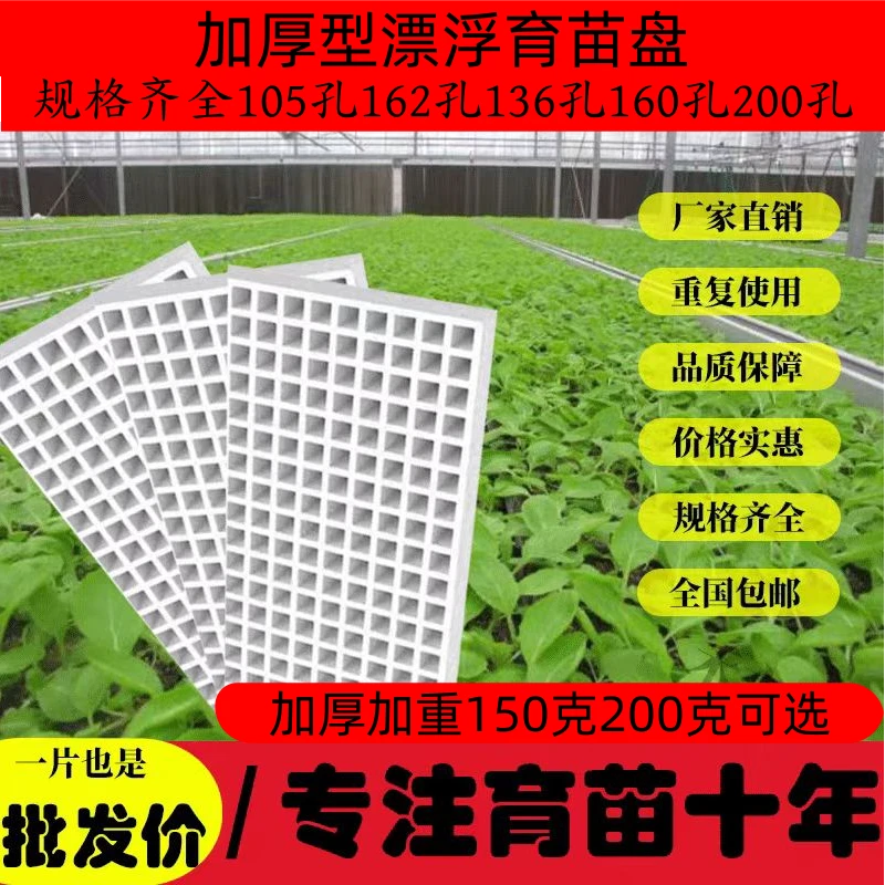 泡沫漂浮漂盘适用于玉米辣椒瓜果蔬菜水培育苗多规格可选162/200/