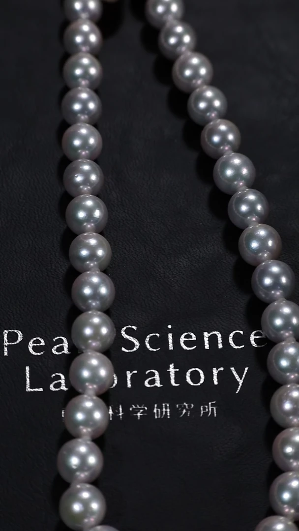 项链银S925镶嵌海水珍珠真多麻全珠项链（多样性其一）