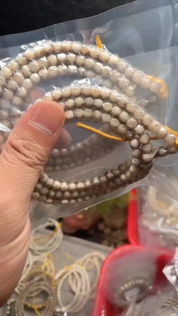 星月菩提手串海南星月菩提《3#A238》6X5长串