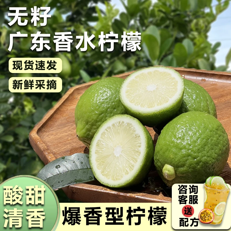 正宗广东香水柠檬新鲜采摘无籽香水柠檬次一级果奶茶店手打柠檬茶