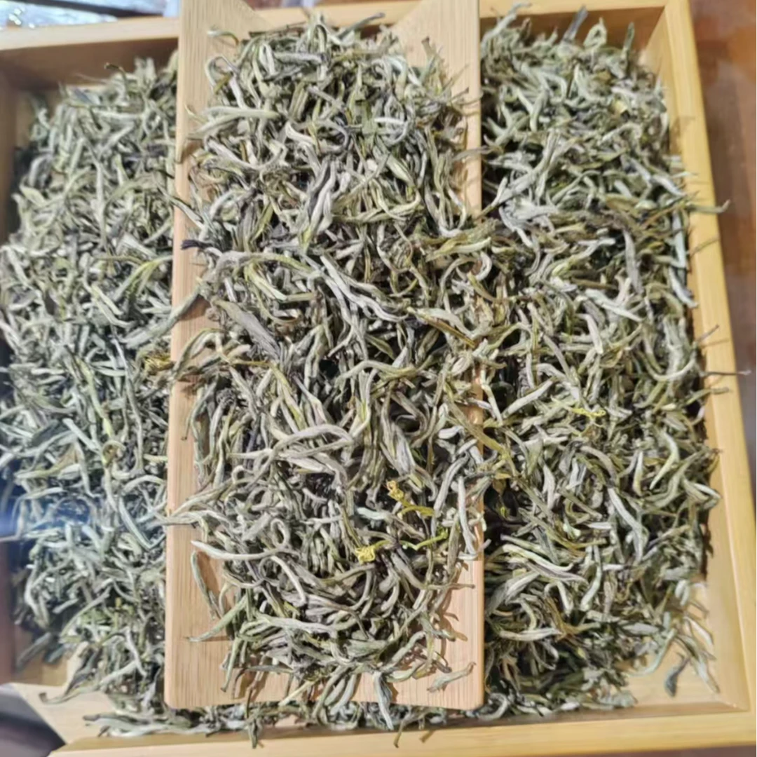 福建茉莉金针2024年新茶春茶茉莉花香