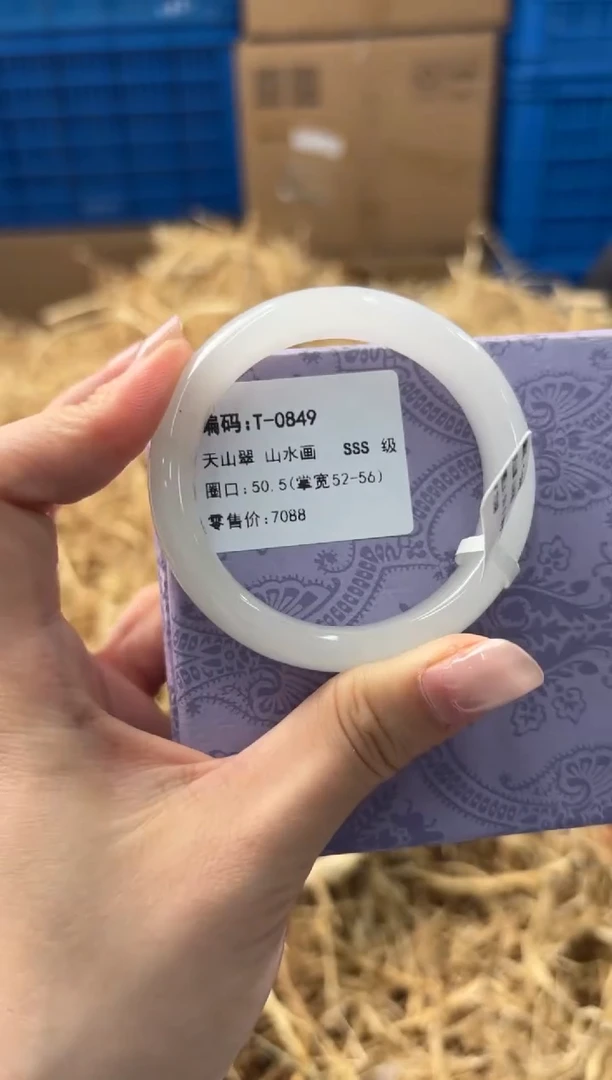 未镶嵌手镯石英质玉T-0849