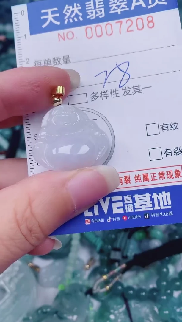 颈饰未镶嵌翡翠00007208