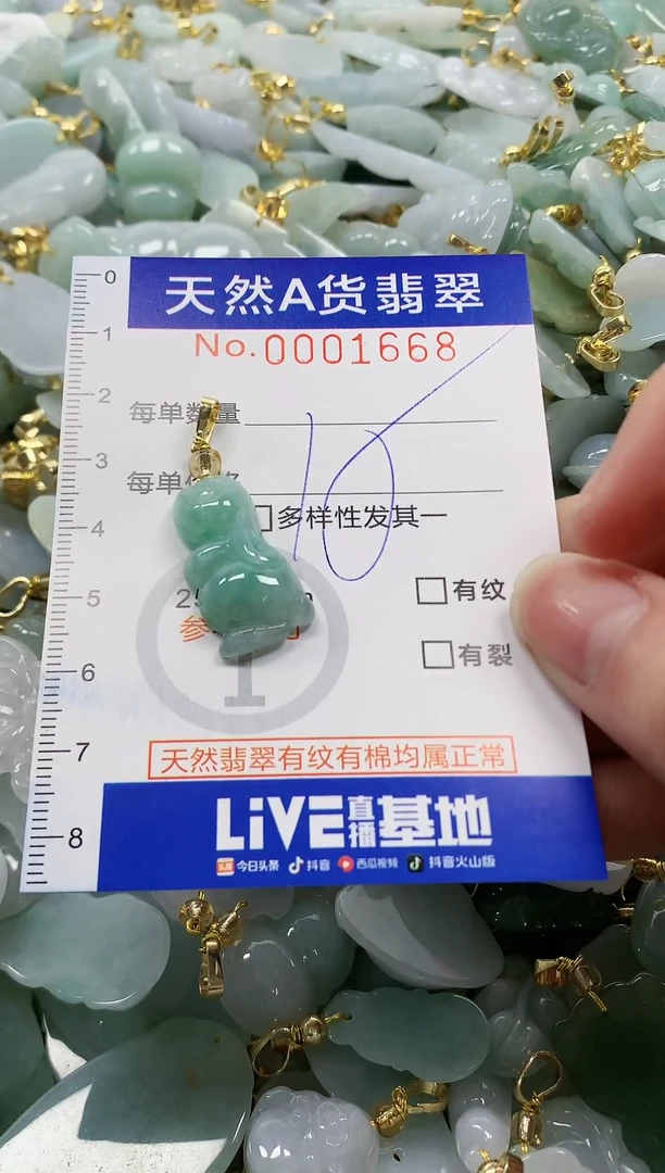 颈饰未镶嵌翡翠纯天然a货翡翠