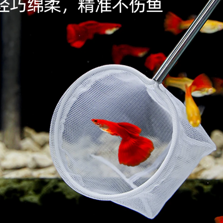 不锈钢可伸缩捞鱼网鱼缸捞小号3d渔捞抄网兜密网热带观赏鱼捞鱼网