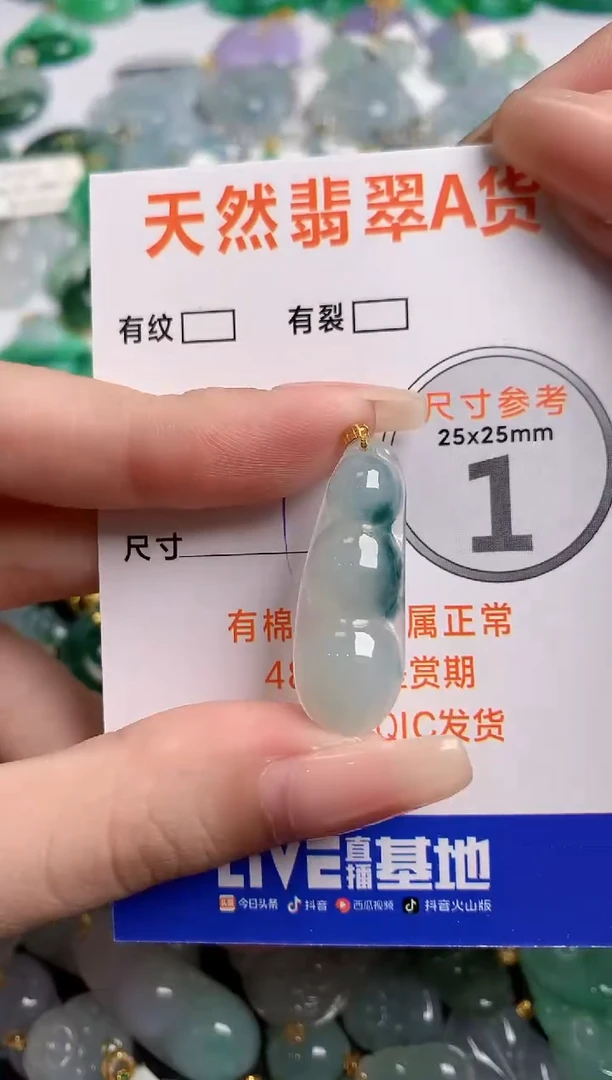翡翠18K金镶嵌颈饰23000894