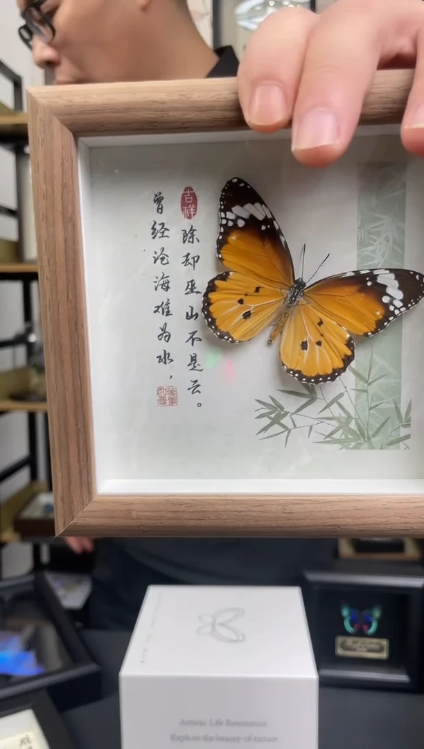金斑蝶5寸相框111