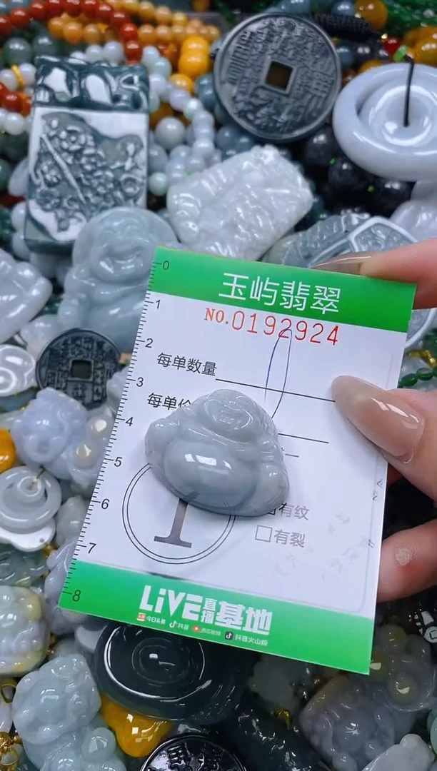 翡翠未镶嵌颈饰闪购0192924