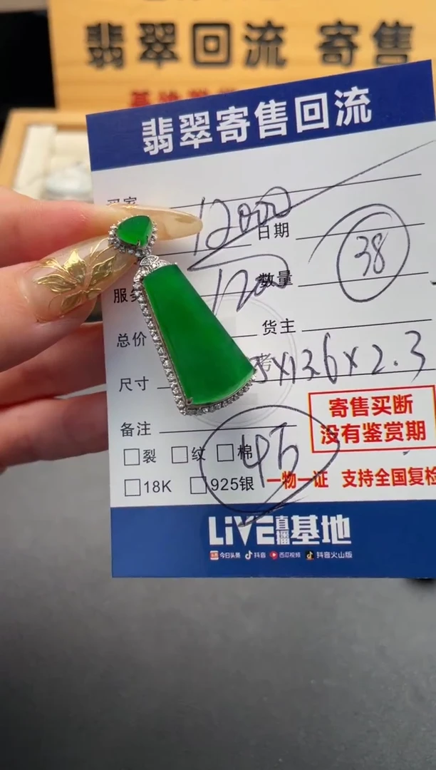 颈饰18K金镶嵌翡翠10146660