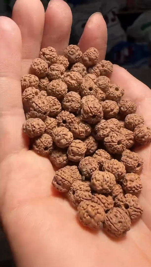 手串金刚菩提非全品老树玉梅花散籽8-9mm一份一百颗
