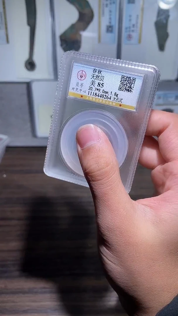 铜历代 天然贝一枚