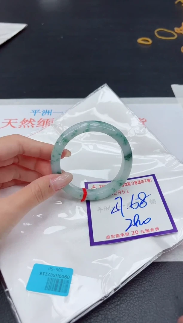 未镶嵌手镯翡翠1