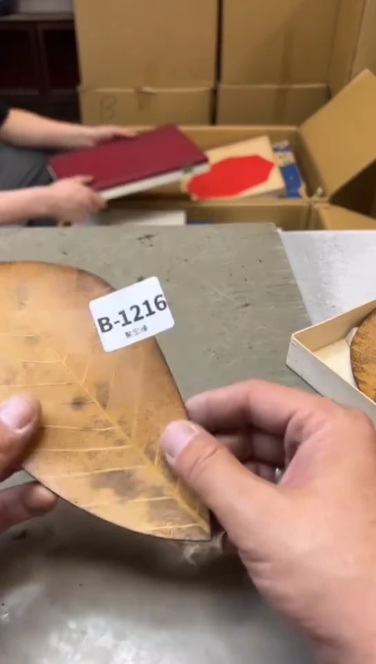 瓷片1216五单聚宝缘海淘精选