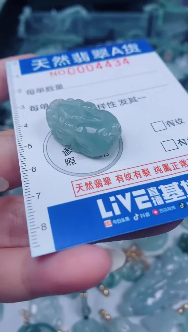 颈饰未镶嵌翡翠00004434