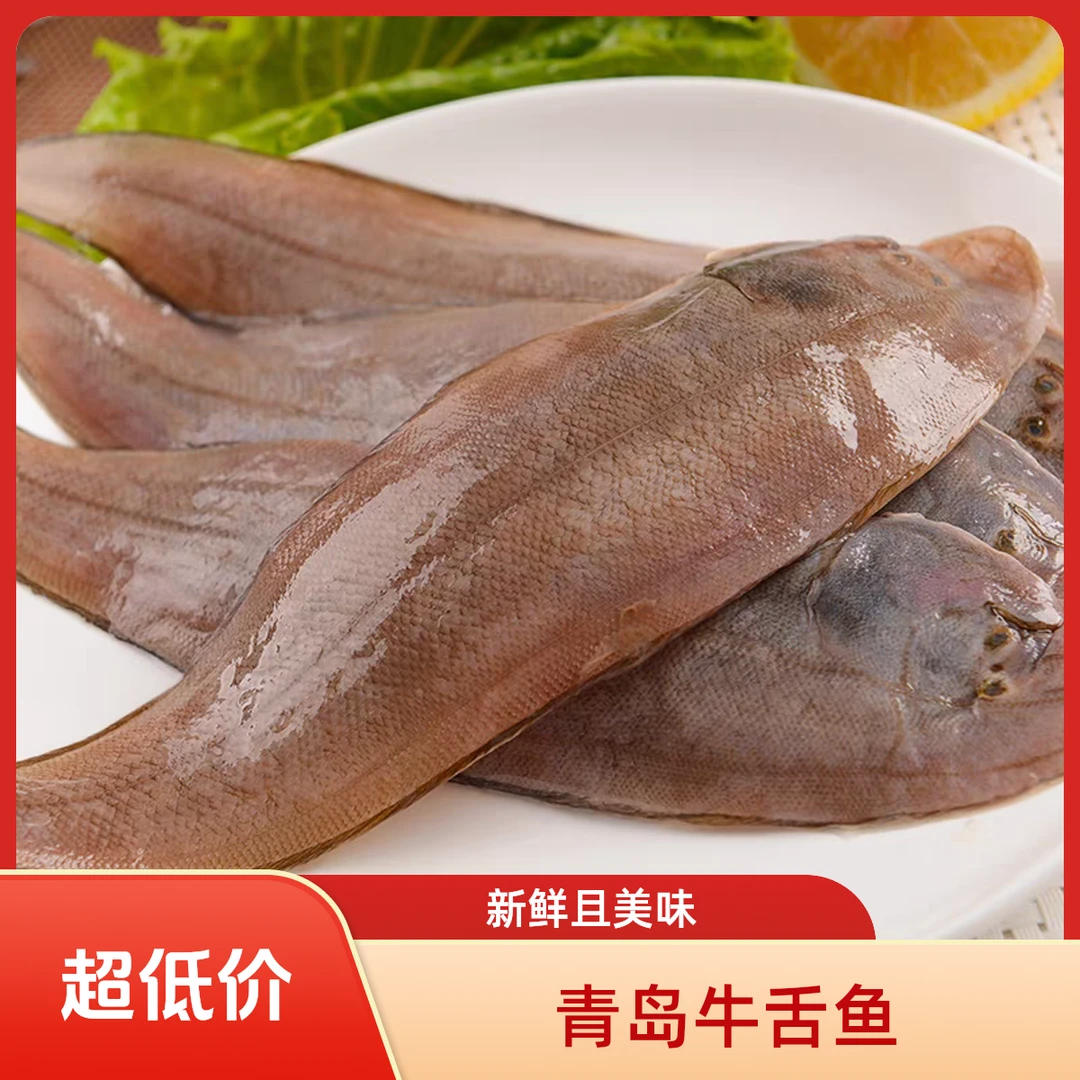 【中号】新鲜舌头鱼 龙利鱼牛舌鱼 3-4两/条 宝宝辅食鱼肉鲜鳎目鱼