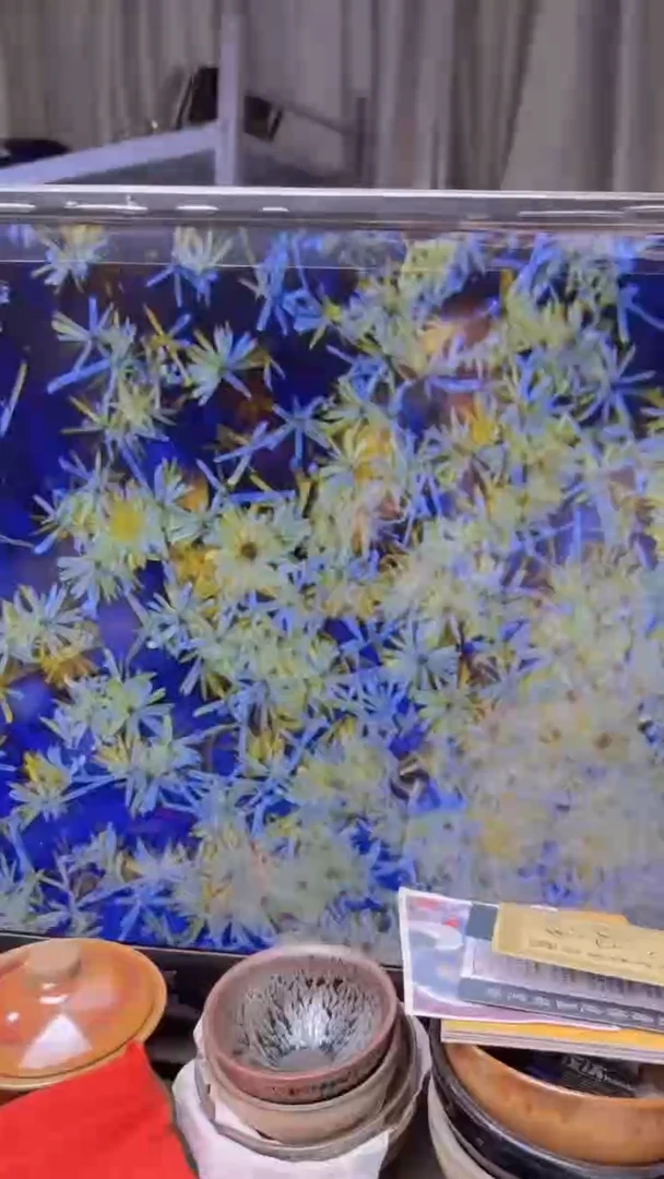 茶盏386礼盒证书建盏