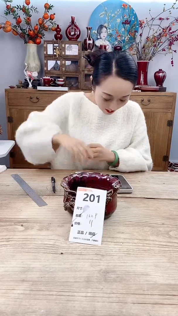 【闪购商品】红陶201